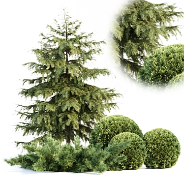 Seasonal Juniper Garden Collection 143 3D model image 1 