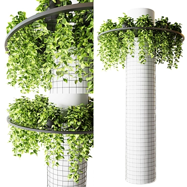 Hanging Epipremnum Plant Column 3D model image 1 