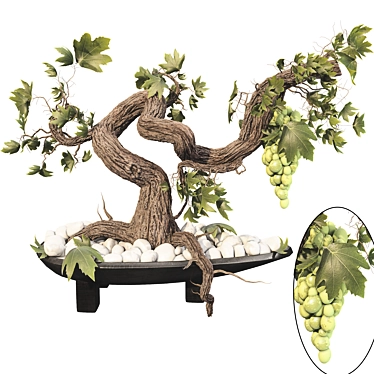 Grape Bonsai 01 3D Model 3D model image 1 