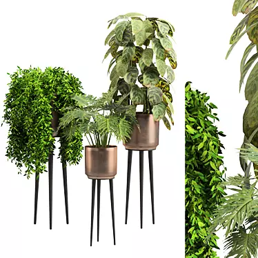 Modern Tropical Indoor Plant 3D model image 1 