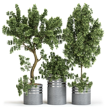  Russian Plant Collection 3D Models 3D model image 1 