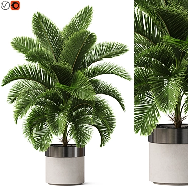 Lush Plant Variety Set 3D model image 1 