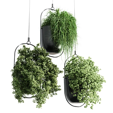 Modern Hanging Plant for Indoor Spaces 3D model image 1 