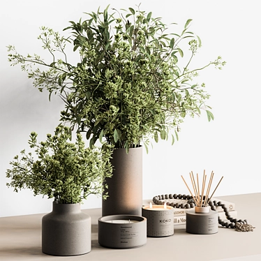 Potted Plant & Vase Duo 3D model image 1 