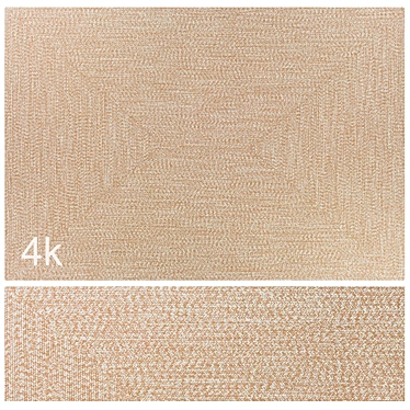 Braided Jute 4K Carpet Set 3D model image 1 