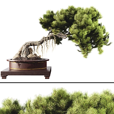 Bonsai Tree 58 Model Kit 3D model image 1 