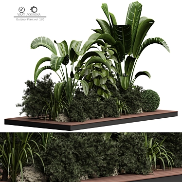 Versatile Outdoor Plant 3D Model 3D model image 1 