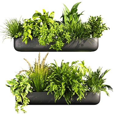 Quality Indoor Plant Collection 417 3D model image 1 