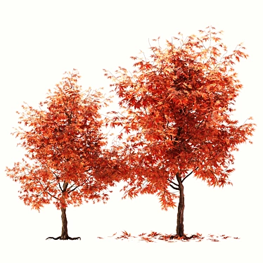 Rustic Maple Tree Decor 3D model image 1 