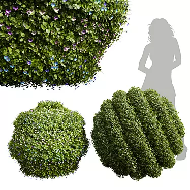 Dual Pruned Plant 3D Models 3D model image 1 