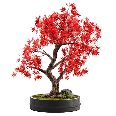 Miniature Bonsai Tree 02 3D model image 1 