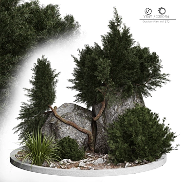 Rustic Outdoor Plant 3D Model 3D model image 1 