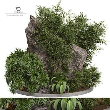 2015 Corona Outdoor Plant Model 3D model image 1 