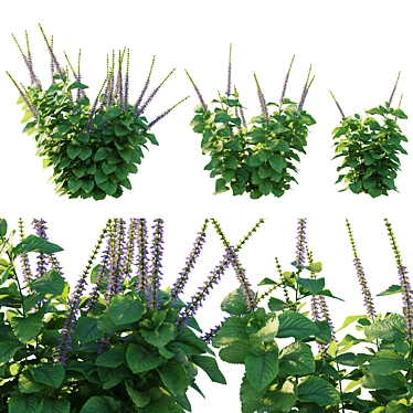 Belly Buster Plant Replica 3D model image 1 