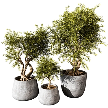 Botanical Beauty 2021 Display Set 3D model image 1 