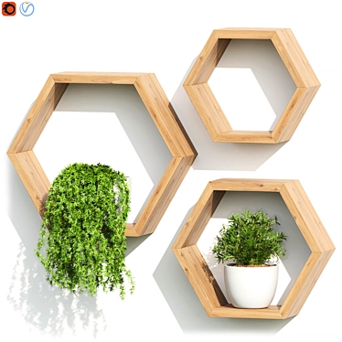 Natural Wood Hexagon Shelves Organic 3D model image 1 