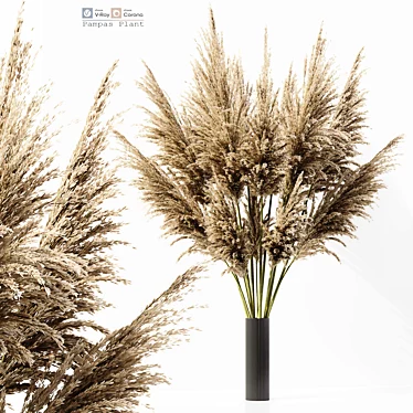 Elegant Pampas Plant 3D Model 3D model image 1 