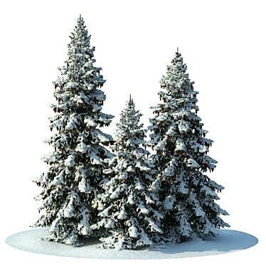 Snowy Winter Spruces Scene 3D model image 1 