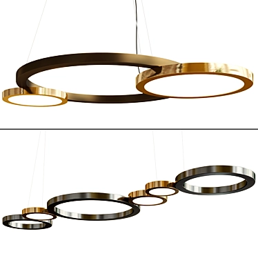 Elegant Design Pendant Lamps Duo 3D model image 1 