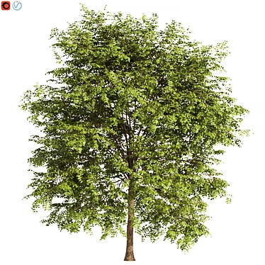 Outdoor Oasis Tree Decor 5 3D model image 1 