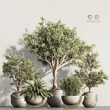 Modern Indoor Plant Set 94 3D model image 1 