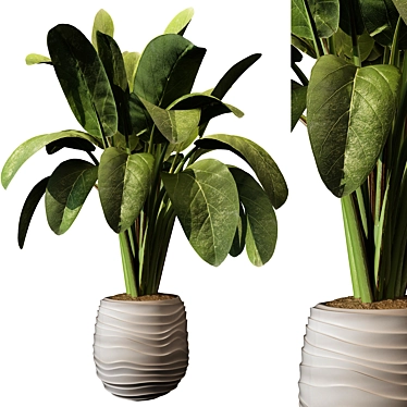 Modern Indoor Plant 220 Décor 3D model image 1 