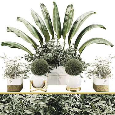 Lush Plant Collection Set 3D model image 1 