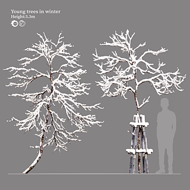 Frosty Winter Young Trees 3D model image 1 