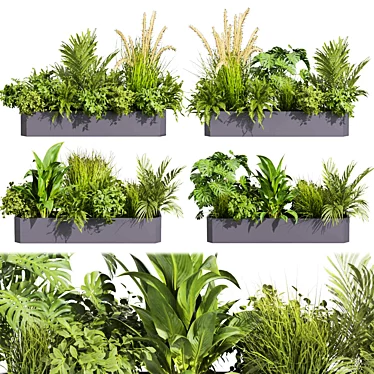 Premium Plant Collection: Ampelous Palm Grass 3D model image 1 