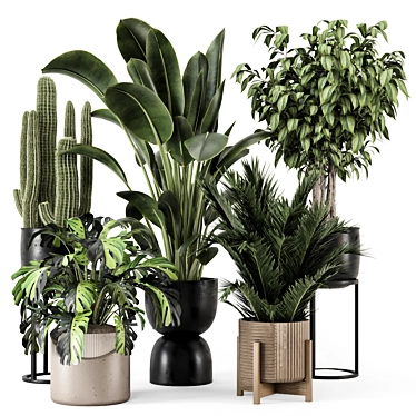 Modern Indoor Plants Set 1348 3D model image 1 