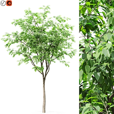 Forest Green 3D Tree Model 3D model image 1 