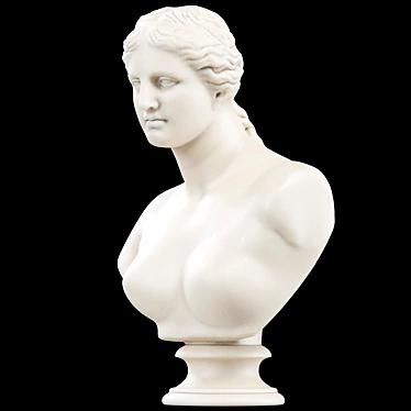 Venus De Milo Bust