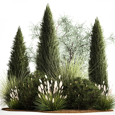 Evergreen Ornamental Plant Collection 3D model image 1 