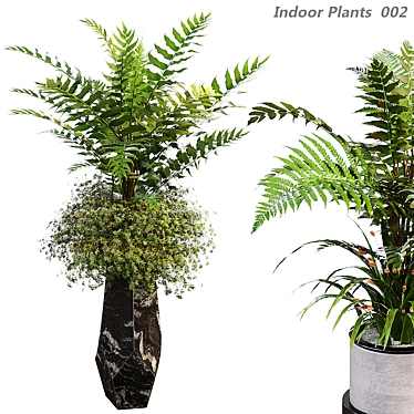 Fern Indoor Plants 3D Model 3D model image 1 