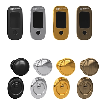 Biometric Smart Lock MorganSecret 3D model image 1 