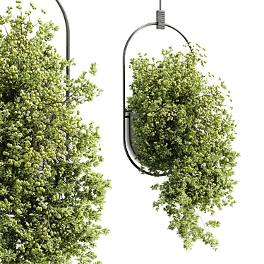 Modern Hanging Indoor Plant 352 3D model image 1 