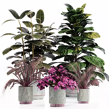 Exotic Indoor Plant Set 3D model image 1 