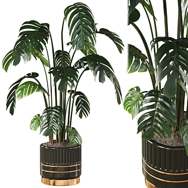 Deluxe Swiss Cheese Plant Pot 3D model image 1 
