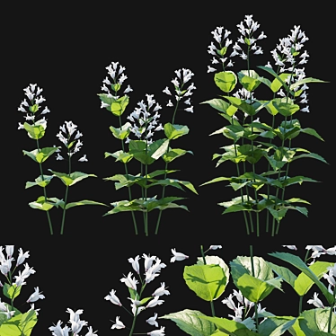 Prairie Penstemon 2017 Model Kit 3D model image 1 