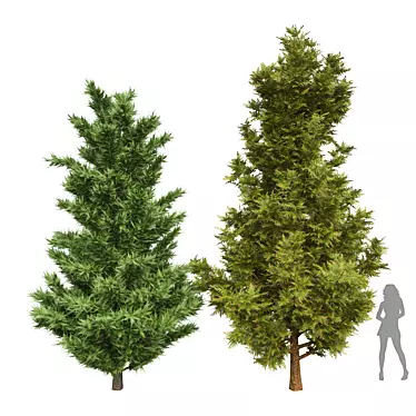 Leyland Cypress Tree Models Bundle 3D model image 1 