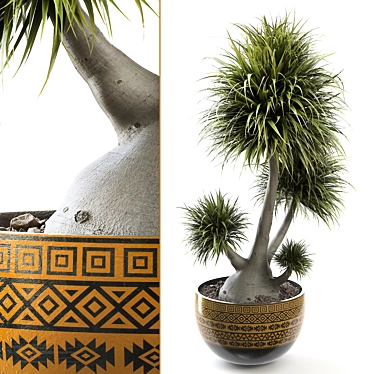 Elegant Rendered Beaucarnea Display Stand 3D model image 1 