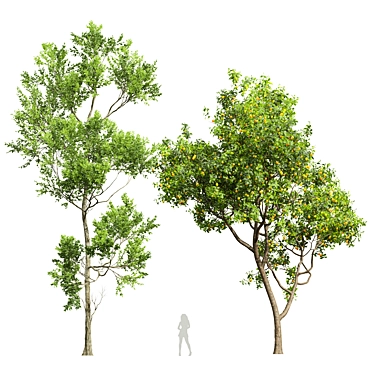 Dual Plum Tree 3D Models 3D model image 1 