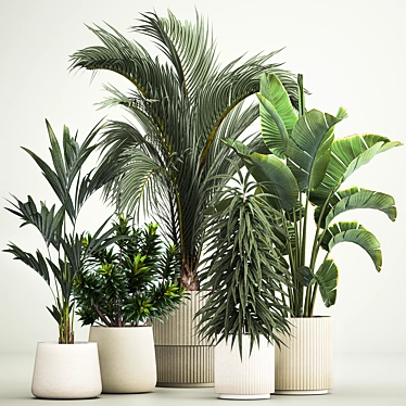 Tropical Plant Collection Ensemble 3D model image 1 