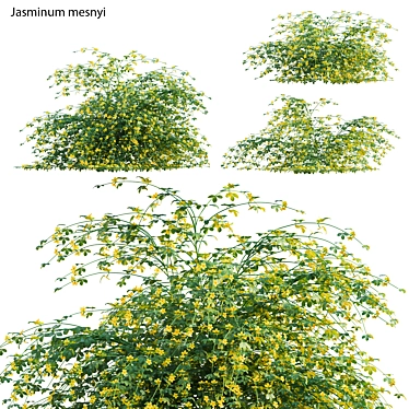 Complete 3D Primrose Jasmine Solution 3D model image 1 