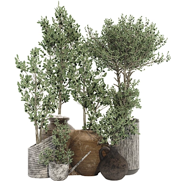 Decorative olive tree in pot 106