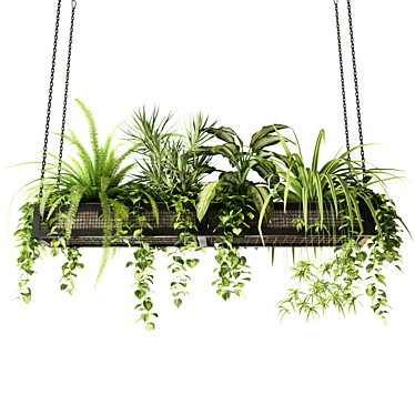 Hanging Plant Mesh - Indoor & Hanging Plants 3D model image 1 