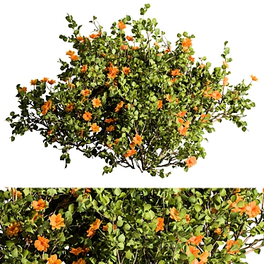 Sunshine Yellow Creeper Bush Set 3D model image 1 