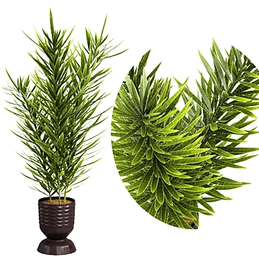  Indoor Plants 4 Pack Bundle 3D model image 1 