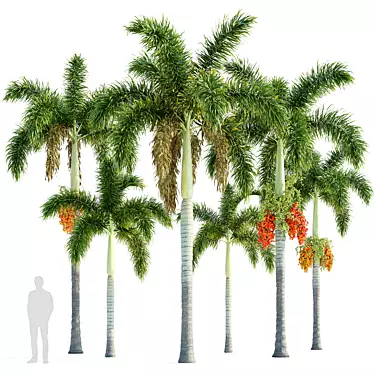 Foxtail Palm Tree Sculptures 3D model image 1 