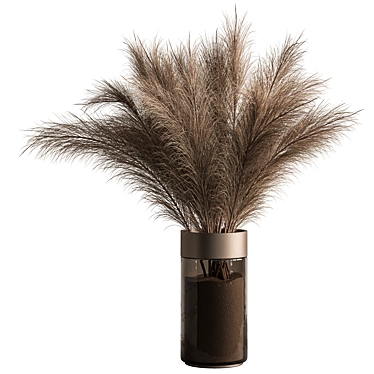 Pampas Dry Plants Bundle 3D model image 1 